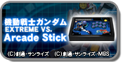 Arcade Stick